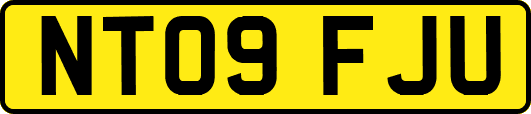NT09FJU