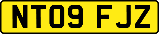 NT09FJZ