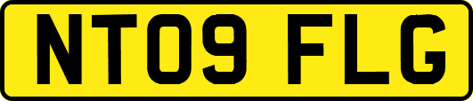 NT09FLG