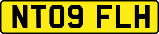 NT09FLH