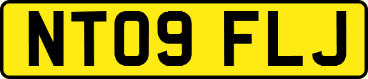 NT09FLJ
