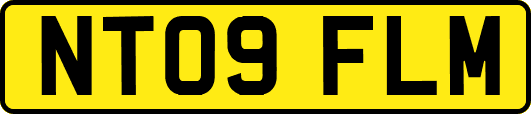 NT09FLM