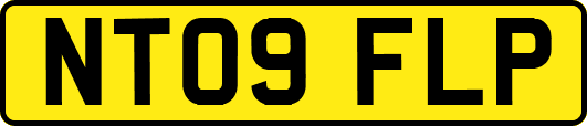 NT09FLP