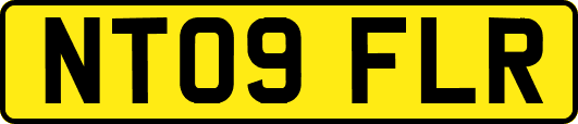 NT09FLR