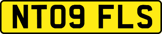 NT09FLS