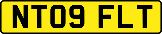 NT09FLT