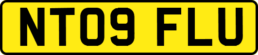 NT09FLU