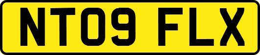 NT09FLX