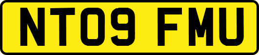 NT09FMU