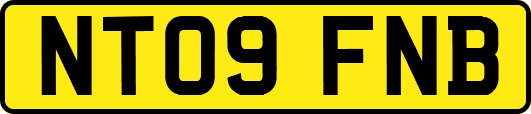 NT09FNB