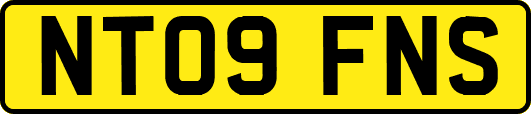 NT09FNS