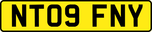 NT09FNY
