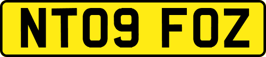 NT09FOZ