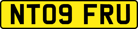 NT09FRU