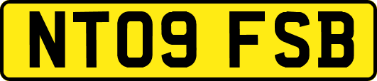NT09FSB