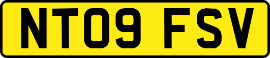 NT09FSV