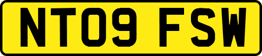 NT09FSW