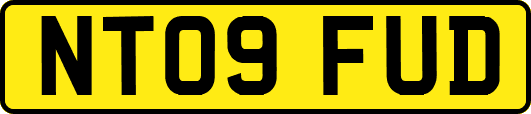 NT09FUD