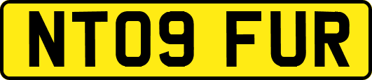 NT09FUR