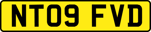 NT09FVD