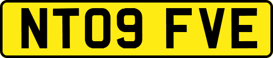 NT09FVE