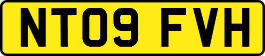 NT09FVH