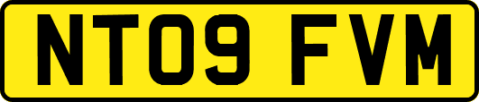 NT09FVM