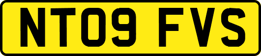 NT09FVS