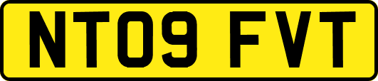 NT09FVT