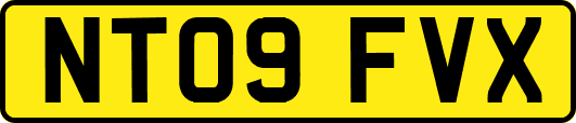 NT09FVX
