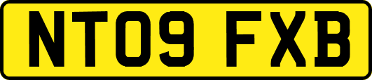 NT09FXB
