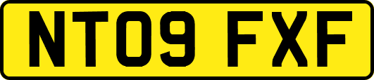 NT09FXF