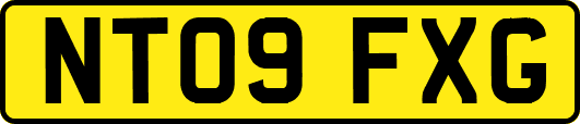 NT09FXG