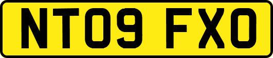 NT09FXO