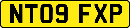 NT09FXP