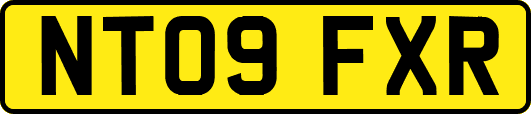 NT09FXR