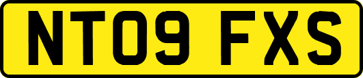 NT09FXS