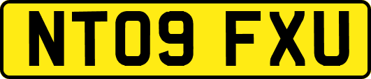 NT09FXU