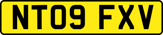 NT09FXV