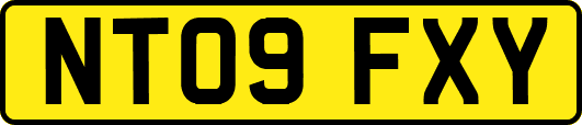 NT09FXY