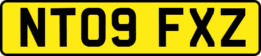 NT09FXZ