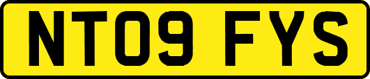NT09FYS