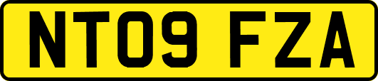 NT09FZA