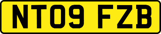 NT09FZB
