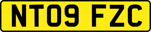 NT09FZC