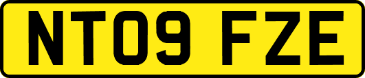 NT09FZE