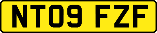 NT09FZF