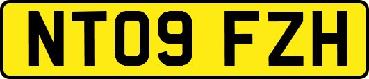 NT09FZH