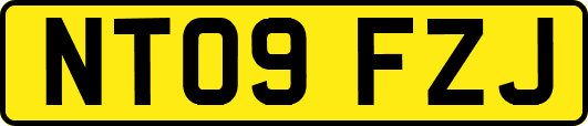 NT09FZJ