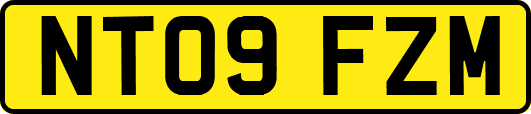 NT09FZM
